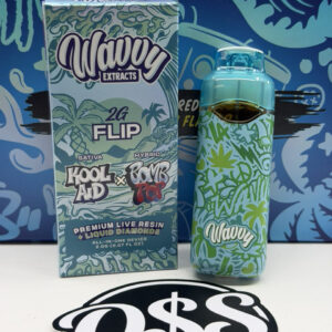 wavvy 2g flip disposable