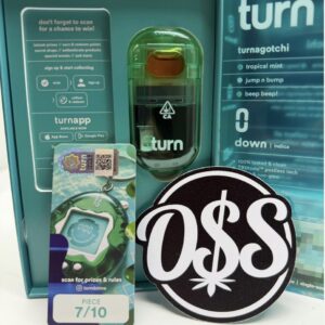 turn retrovision disposable