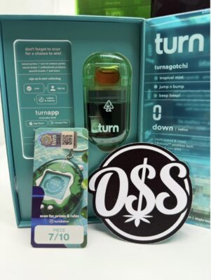 turn retrovision disposable