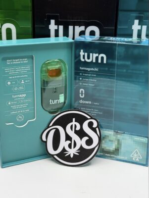 turn retrovision 2g disposable