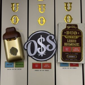 big chief duo v3 disposable