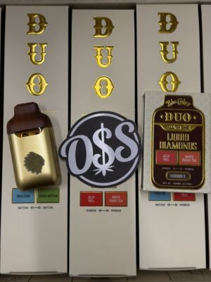 big chief duo v3 disposable